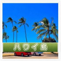 ハワイ島の浮気調査はお任せください