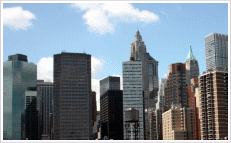 �C�O�����T�[�r�X