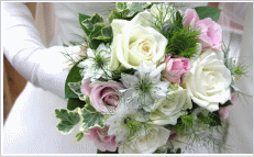 ���ی�������